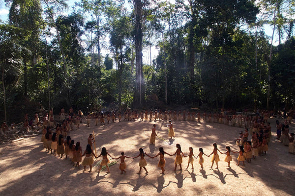 My Journey into the Amazon - Costa Brazil