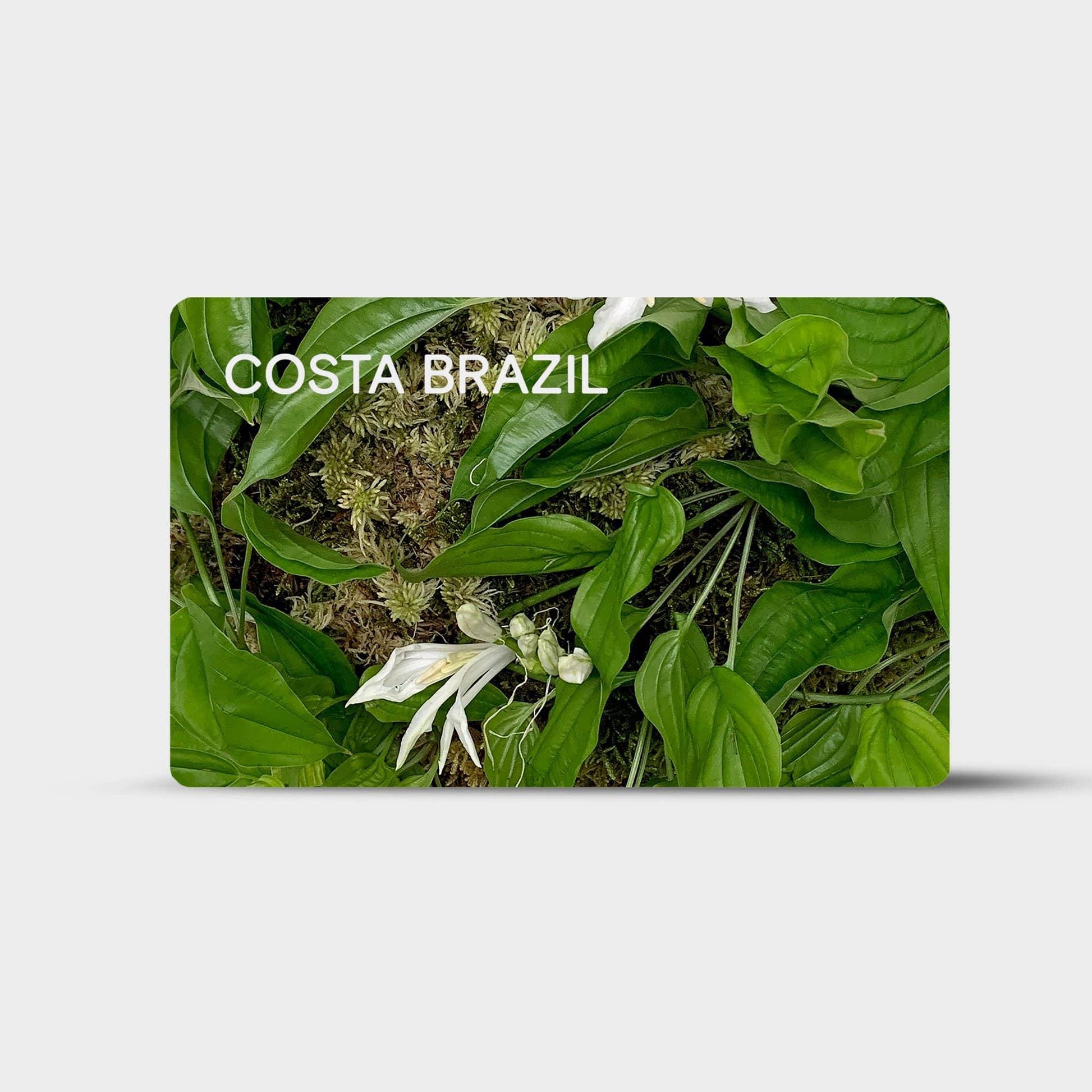 Costa Brazil Gift Card Cartão Presente